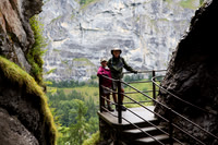 copy--38027