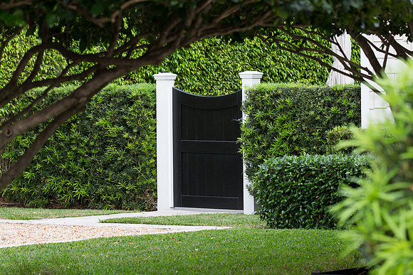Old_South_Florida_5D33782