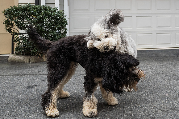 copy_-1000638