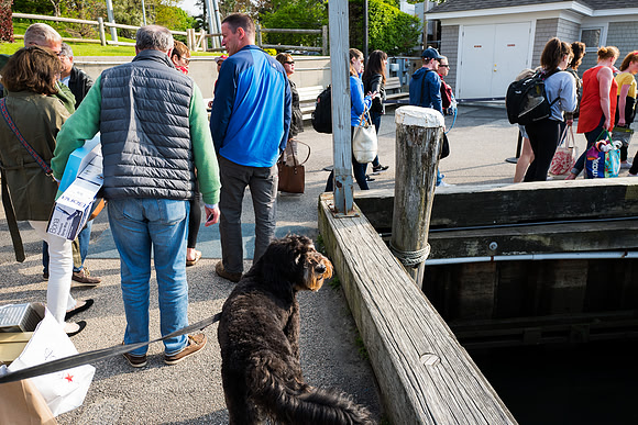 Wallis boarding ferry copy_-1010932
