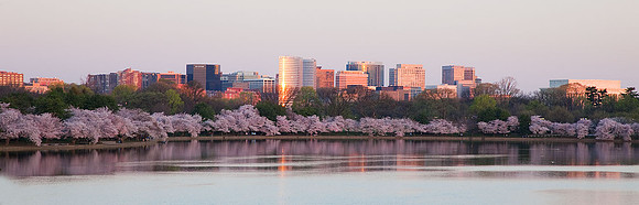 _MG_2445_copy2