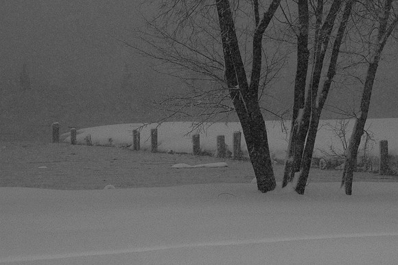 Blizzard_2010_MG_2503_copy