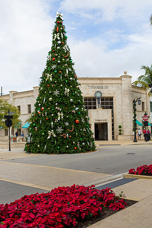 Christmas_Palm_Beach_5D33637
