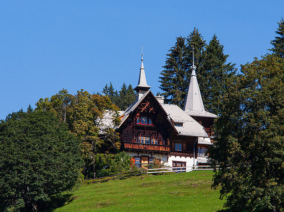 House_Above_Wengen_MG_2148_copy