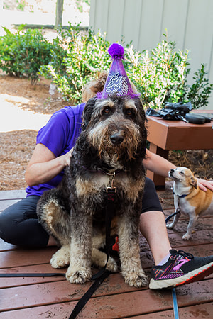 copy_-5169